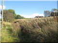 Overgrown path near Bryney Heyes Farm