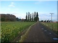 Track to Gate Farm