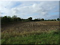 Stubble field, Barsham