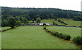 Pasture and forest west of Glyndyfrdwy, Denbighshire