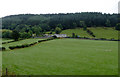 Pasture and forest west of Glyndyfrdwy, Denbighshire