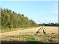 Field of stubble north of Budby North Forest