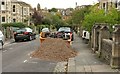 Parked gravel, Alexandra Park