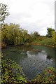 Pond by Foxhall Road