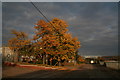 Autumn evening in Freeman Road, North Hykeham