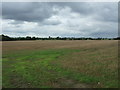 Stubble field off Broad Road