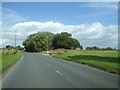 Trees at the corner of a field, Whitfield