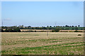 View north-west from Queenborough Road, Southminster