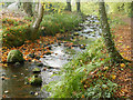 Part of Fairy Glen, Rosemarkie