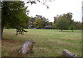 Ruskin Park, looking towards the shelter