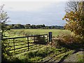 Farmland off Eardley End Road