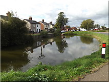TM0691 : Rod Alley Pond, Old Buckenham by Geographer