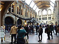 Inside the Natural History Museum, London