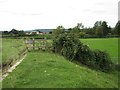 Stile on the flood bank