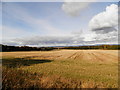 Farmland at Legaston