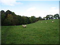 Footpath beside Row Beck, Dearham