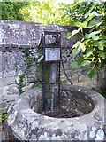 TQ4109 : Pump in Southover Grange Gardens, Lewes by Robin Webster
