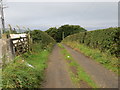 Farm track at Nether Hill Triangulation Pillar