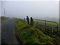 Misty along Ballymullarty Road