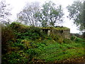 Ruined cottage, Gallan Lower