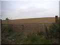 Field by Chequers Lane, Waterdale