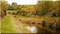 Coombe Hill Canal, 5