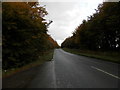 The B914 between Whitehouse Wood and Thornton Wood