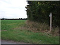 Footpath near Westhouse Farm