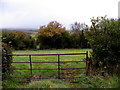 Rusty gate, Claraghmore