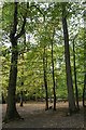 Autumn Colour in Grovelands Park, London N21