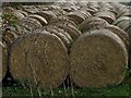 Bales near Wroot