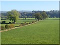 Floor of the Eden valley