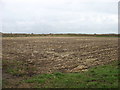 Farmland on North Fen