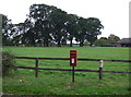 Elizabeth II postbox on Chickering Road, Chickering