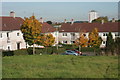 Autumn colour, Nitshill