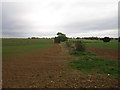 Field boundary near Norton