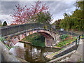 Ashton Canal, Jamaica Bridge (Bridge#16)