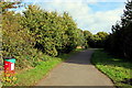 Path on the east side of Waterlode, Nantwich