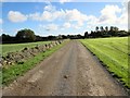 Farm track to Grayston Plain Lane