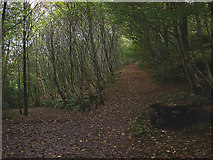 SD0997 : Path junction, Barrow Plantation by Karl and Ali