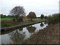 Trent & Mersey Canal 