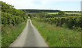 Lane to Lishaperhill Cross