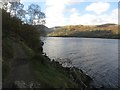 NY4019 : Footpath beside Ullswater by Graham Robson