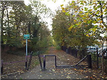 NZ3556 : Footpath and cycleway at South Hylton, near Sunderland by Malc McDonald