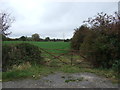 Field entrance off Cledford Lane