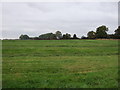 Grassland near Road Side Farm