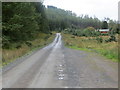 Loch Doon and Carrick Forest Drive near Balloch Lodge