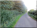 NU0935 : Lane to Middleton Hall and Swinhoe Farm by Peter Wood