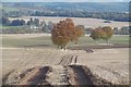 Stubble, Mains of Pittendriech