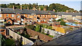 Tiverton : Melbourne Street Houses